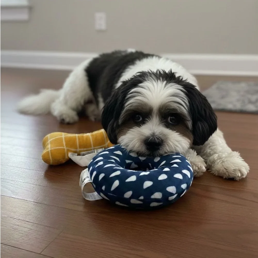 Blue and White Polka Dot Dog Toy and a yellow bone stuffed toy